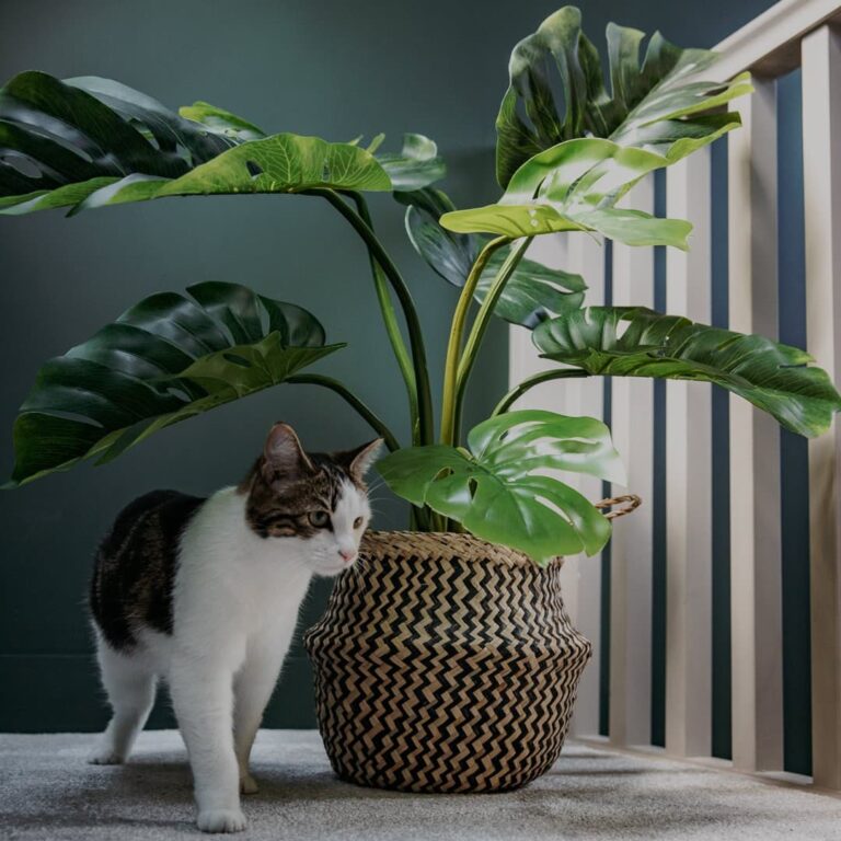 30 Fake Plants Enhancing Your Space Without the Maintenance