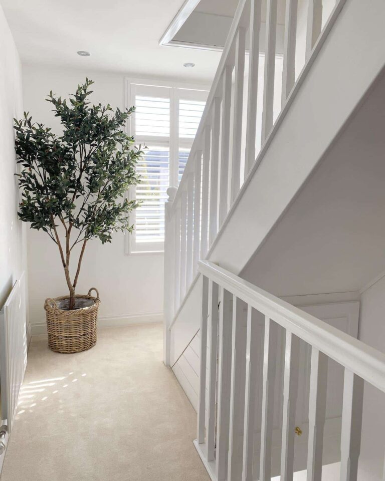 22 Best Faux Olive Tree Ideas