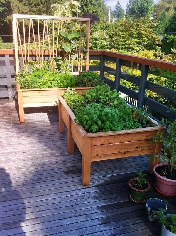 8 Raised Bed Gardening Mistakes I Made So You Don’t Have To