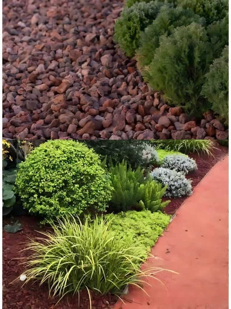 How to Lay Mulch in Your Backyard for Spring?