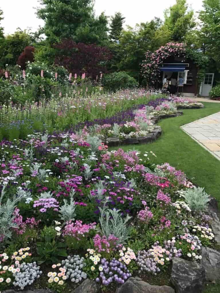 How to Start a Garden Step by Step?