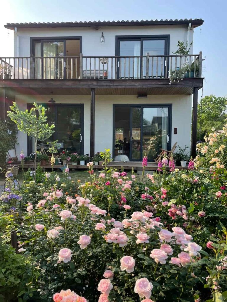 Tired of Your Garden Looking Like a Plant Graveyard？ （Meet the 15 Perennials That Do All the Work For You）