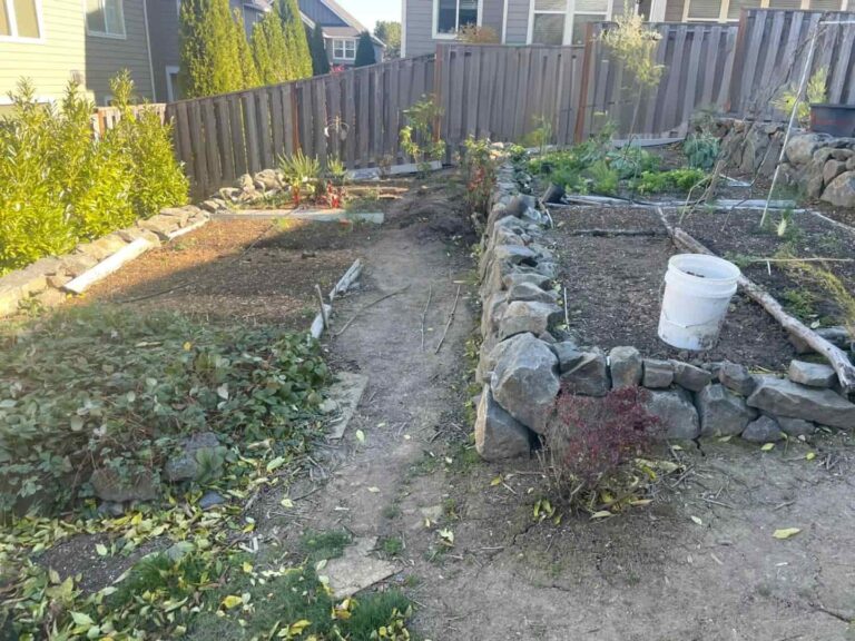 How to Exploit Shady Space in Your Garden with 12 Perfect Vegetables？